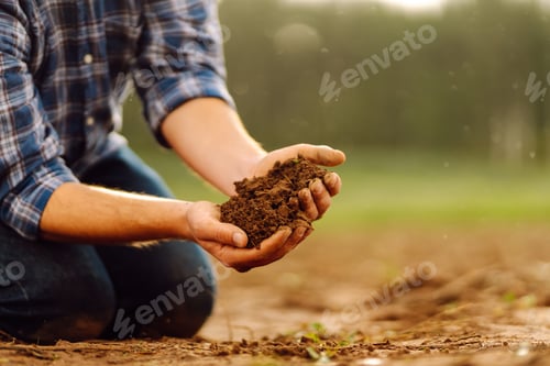 Preview: Farmer's hands take the soil from field and check its quality. Experienced male hands hold the soil.
