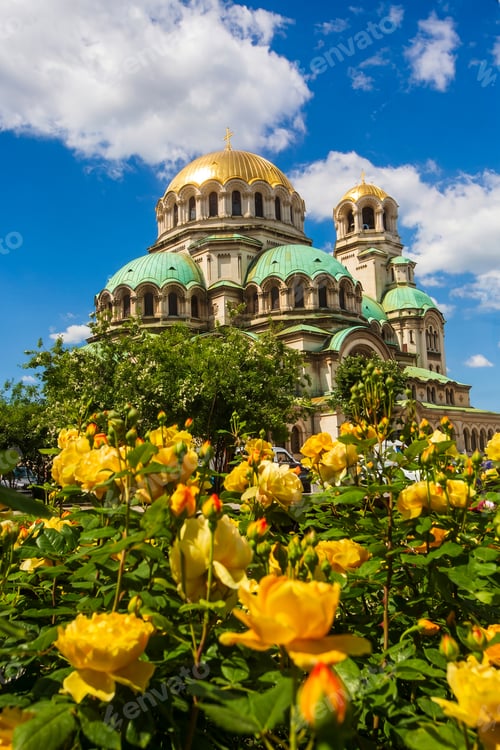 Preview: Scenic view of St Alexander Nevsky Cathedral with yellow roses in the foreground in Sofia Bulgaria