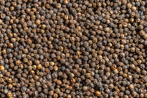Preview: Banner With Black Peppercorns, Aromatic Spices and Seasonings for Cooking, Copy Space for Text About