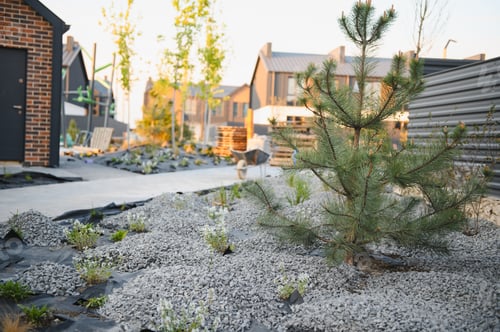 Preview: Landscaping new residential area with gravel and young pine