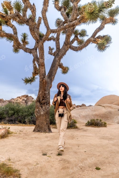 Preview: Woman exploring joshua tree national park desert landscape