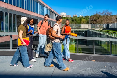 Preview: Diverse university students walking and talking on campus