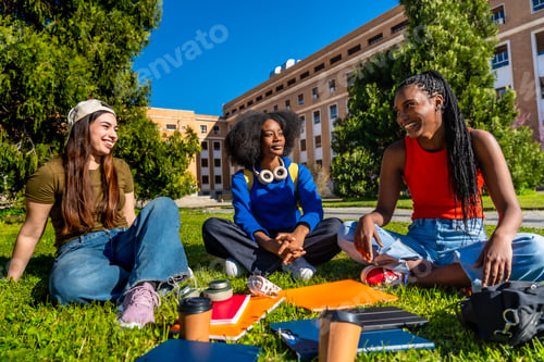 Preview: Diverse female students relaxing on university campus grass