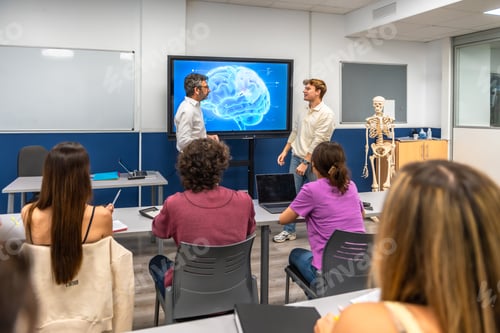 Preview: Medical students learning human brain anatomy in university class