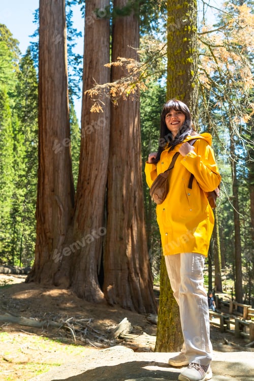 Preview: Woman hiking in giant sequoia forest during sunny day