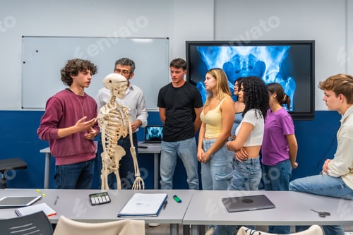 Preview: Students learning human anatomy examining skeleton model