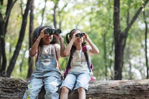 Preview: Diverse Children Using Binoculars and Camera in Forest, Outdoor Exploration and Learning Concept
