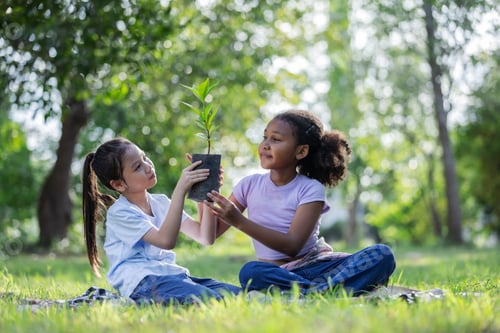Preview: Multicultural Children Holding Young Tree Together for Eco Education and Sustainability Concept