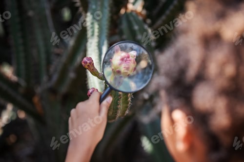 Preview: Child Exploring Cactus Flower Through Magnifying Glass During Eco Education Activity