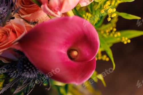 Preview: Close up of pink flower with orange roses and green plants in a bouquet arranged for decoration in a