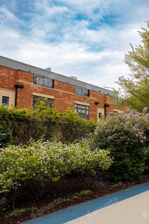 Preview: Blooming flowers in a garden near a brick building under a cloudy sky with greenery in the foregroun