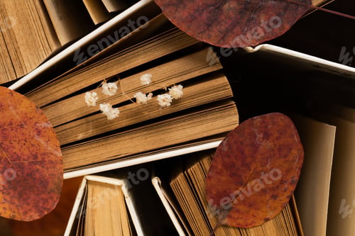 Preview: Background of old vintage hardback paper books. Library archive. Small white dried flowers of gypsop