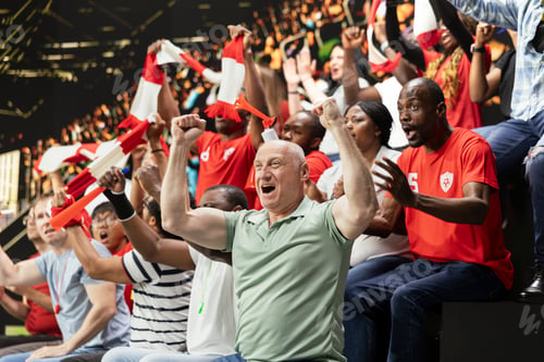 Preview: Joyful football supporters jumping after winner goal secures world championship