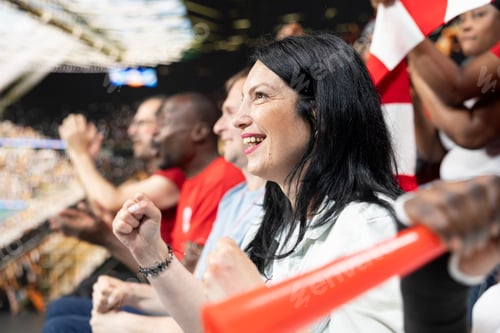 Preview: Energetic sports fans reacting to match winner goal during live football game