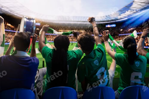 Preview: Supporter crowd cheering with drum and scarves at football match