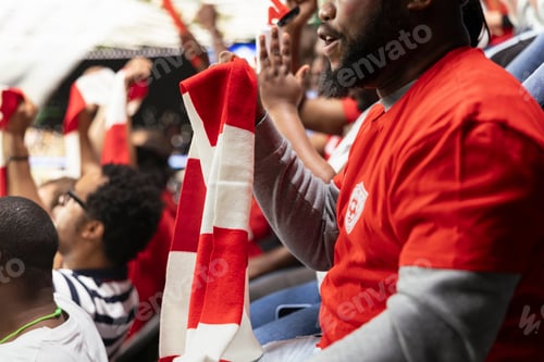 Preview: Organized fan club waving scarves celebrating in the terrace stands