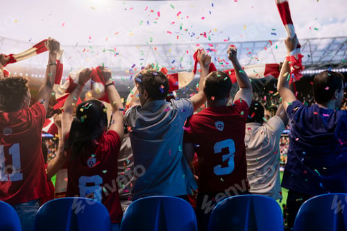 Preview: Back view of thrilled supporters in soccer stadium celebrating tournament win