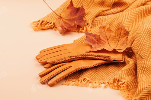 Preview: Autumn gloves and maple leaves on cozy scarf