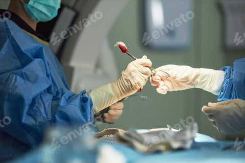 Preview: Adult Surgeons Exchanging Instruments during Hospital Procedure