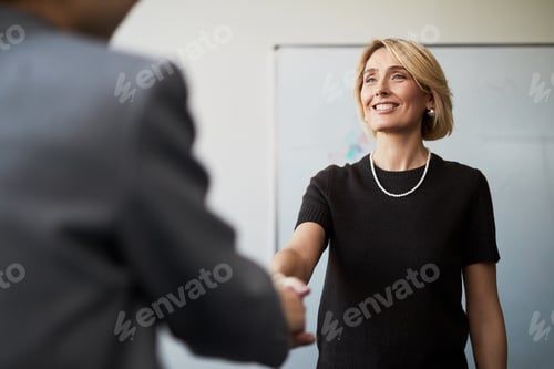 Preview: Adult Woman Shaking Hands during Business Meeting