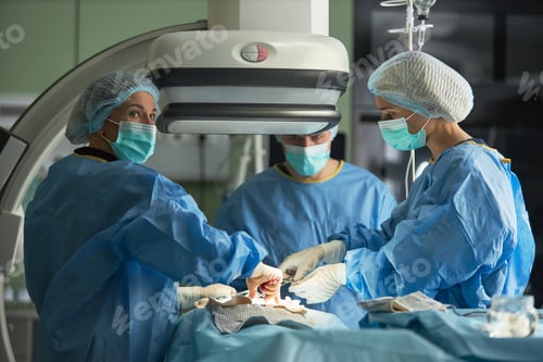 Preview: Surgeons Performing Operation in Hospital Operating Room