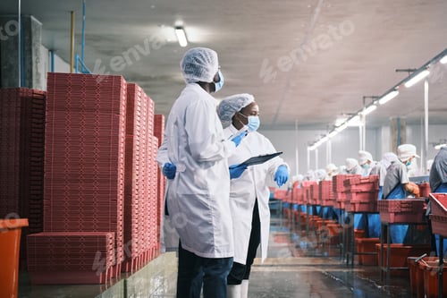 Preview: Two Black factory supervisors discuss and inspect fish food production process.