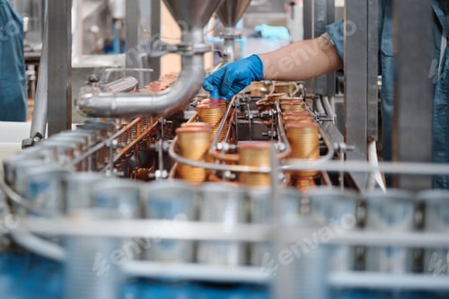 Preview: Automated conveyor of sardine fish in sauce, instant food production industry.