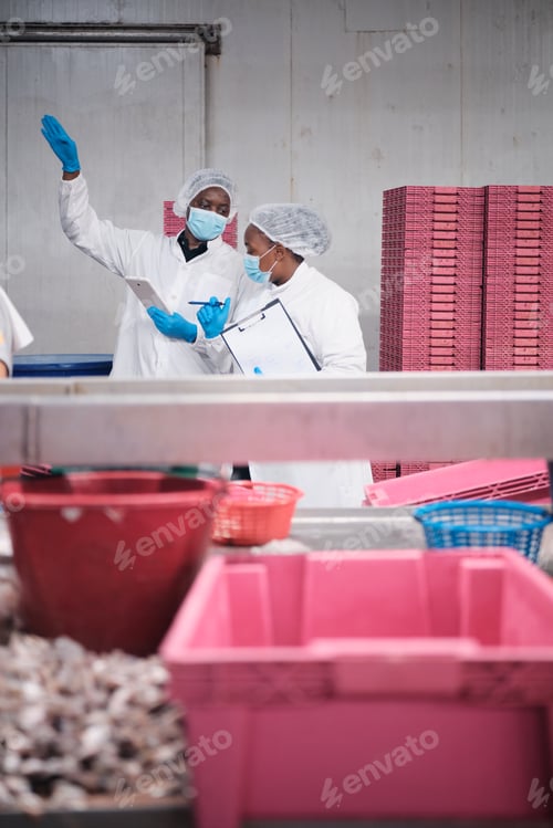 Preview: Two Black factory supervisors discuss and inspect fish food production process.