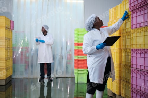 Preview: Two Black supervisors examine baskets of fish stock in chilled stack warehouse.