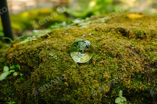 Preview: Recycling sustainability concept with glass sphere and recycle icon on green moss. Environmental pro