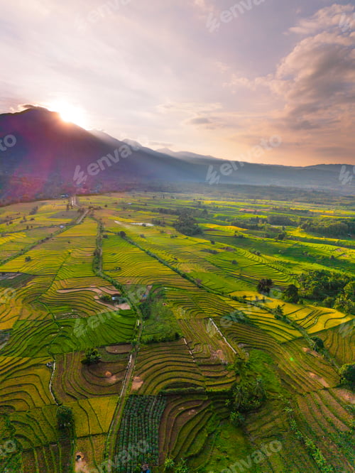 Preview: The natural beauty of the Indonesian mountains with beautiful tropical forests at sunrise