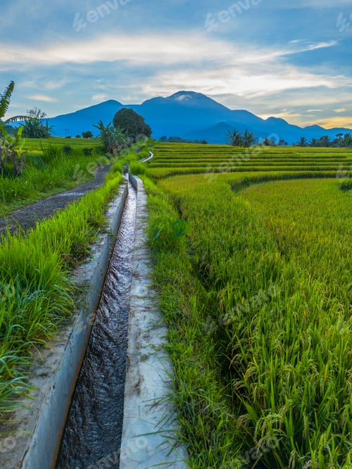 Preview: The natural beauty of the Indonesian mountains with beautiful tropical forests at sunrise