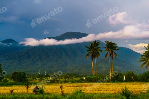 Preview: Beautiful morning view in Indonesia, panoramic landscape of rice fields with mountain ranges and cle