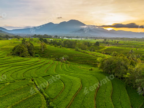 Preview: Beautiful morning view in Indonesia, panoramic landscape of rice fields with mountain ranges and cle
