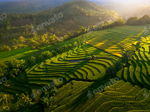 Preview: Beautiful morning view in Indonesia, panoramic landscape of rice fields with mountain ranges and cle