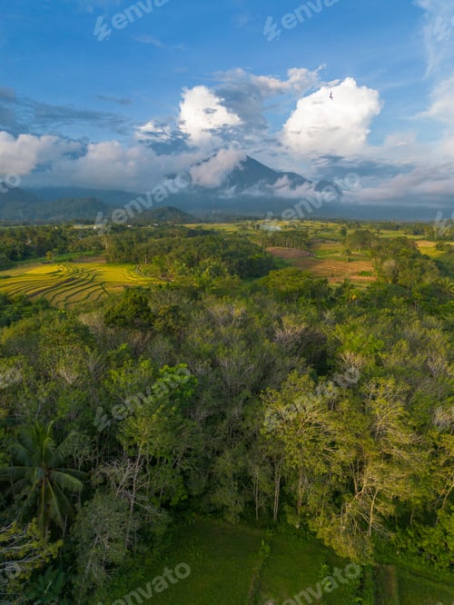 Preview: The natural beauty of the Indonesian mountains with beautiful tropical forests at sunrise