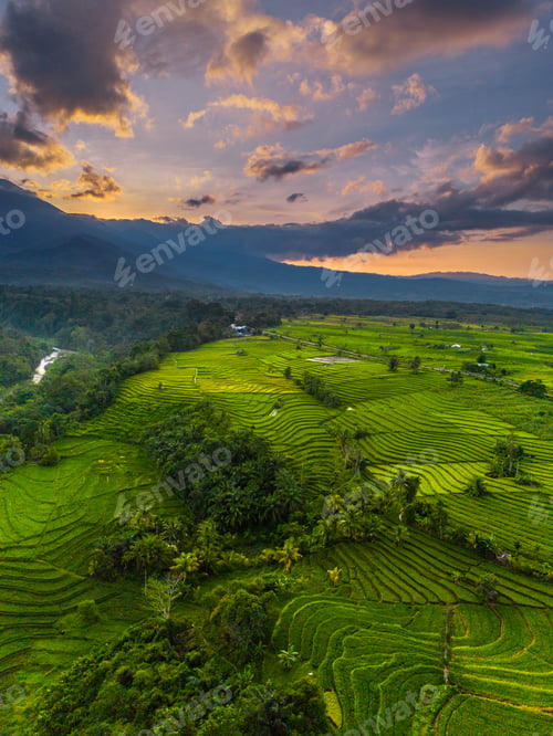 Preview: Beautiful morning view in Indonesia, panoramic landscape of rice fields with mountain ranges and cle