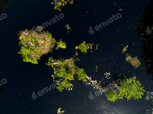 Preview: The natural beauty of the Indonesian mountains with beautiful tropical forests at sunrise