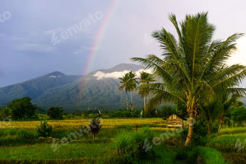 Preview: Beautiful morning view in Indonesia, panoramic landscape of rice fields with mountain ranges and cle