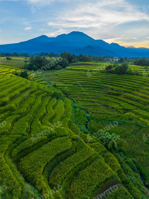 Preview: The natural beauty of the Indonesian mountains with beautiful tropical forests at sunrise
