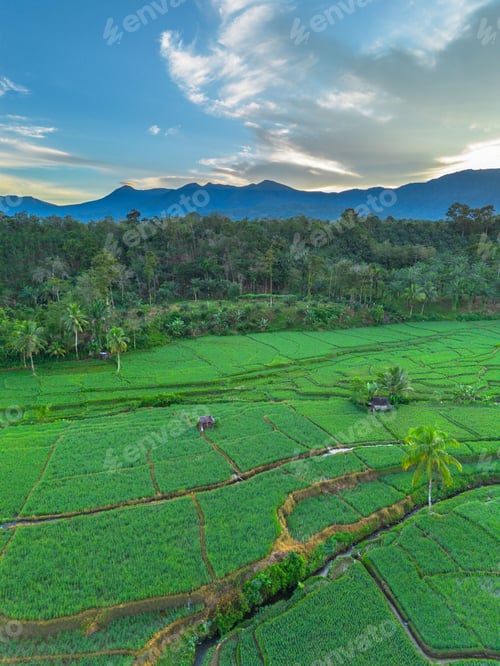 Preview: The natural beauty of the Indonesian mountains with beautiful tropical forests at sunrise