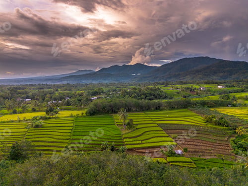 Preview: Beautiful morning view in Indonesia, panoramic landscape of rice fields with mountain ranges and cle
