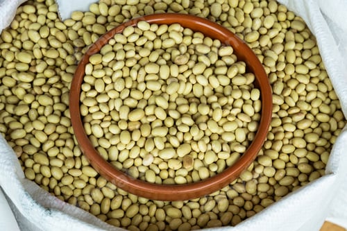 Preview: Dry yellow soybeans in a ceramic bowl inside a large sack at a market