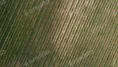 Preview: Aerial drone view of agriculture landscape in Moravia
