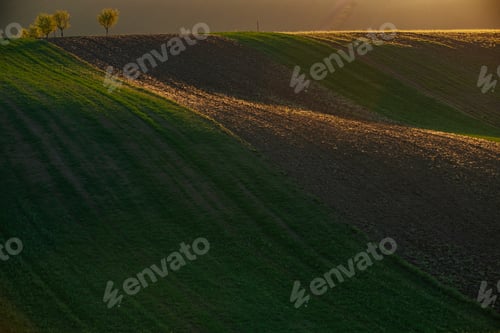 Preview: Gorgeous rural landscape with green sunny spring hills. South Moravia region, Czech Republic