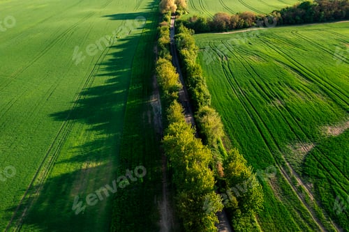 Preview: Aerial drone view of agriculture landscape in Moravia