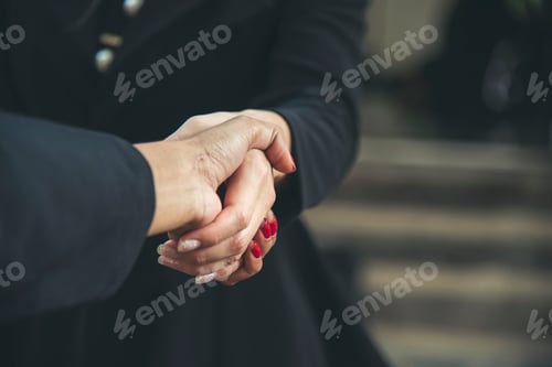 Preview: Banner Trust honesty business customer handshake together promise partner. Panorama Businessman team