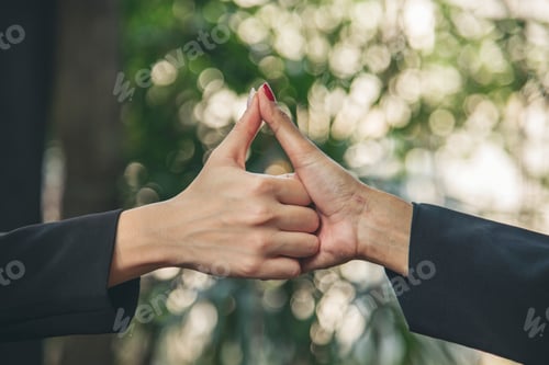 Preview: Two Men team fist bump Business Partner Businessman Trust Teamwork Partnership Industry contractor d