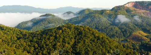 Preview: Banner Beautiful Mountain landscape foggy mountain green landscape morning sunrise. Amazing Landscap
