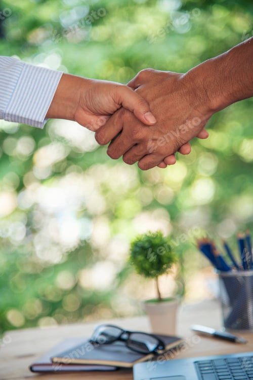 Preview: Trust honesty business customer handshake together promise respect partner. Businessman diversity so
